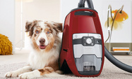 Безмешковые пылесосы Miele